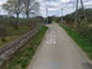 Zona