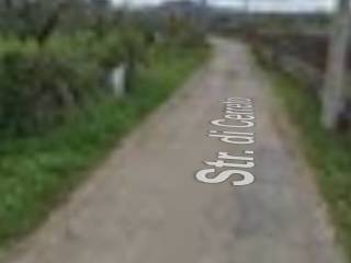 Zona