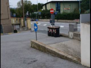 Zona