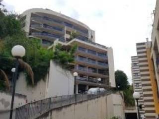 Zona