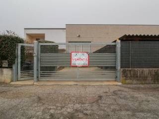 Ingresso