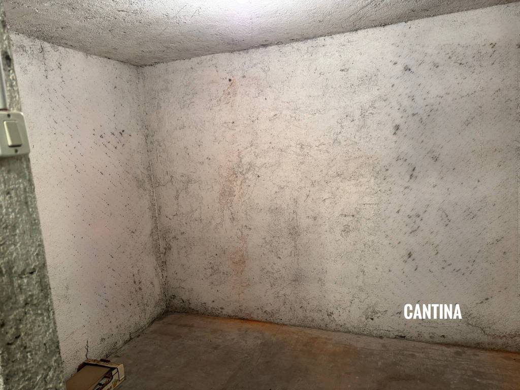 Cantina