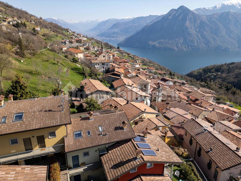 Vista