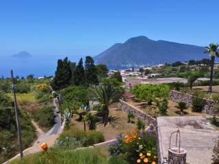 Vista