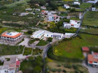 Zona