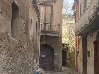 Zona