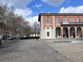 Zona
