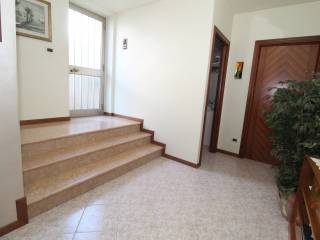 Ingresso