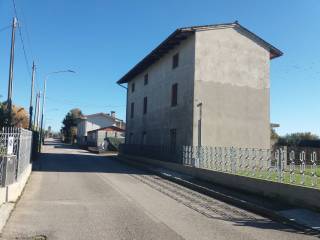Zona