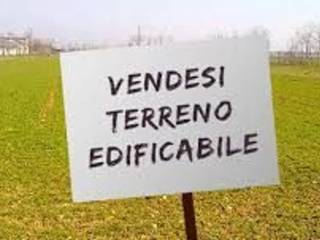 Zona