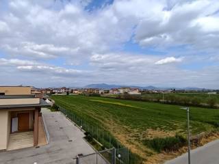 Vista