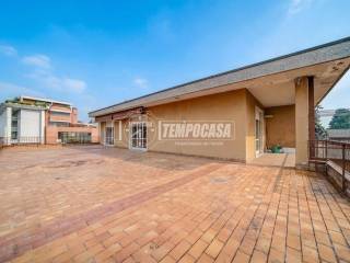 Terrazzo