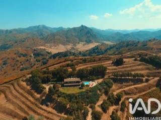 Vista