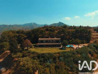 Vista