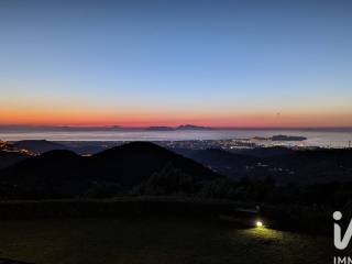 Vista