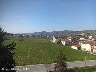 Vista
