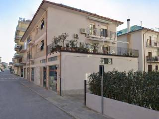 Zona