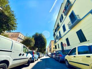 Zona