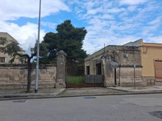 Zona