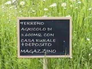 Altro