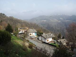 Vista