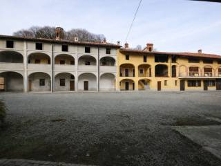 Zona