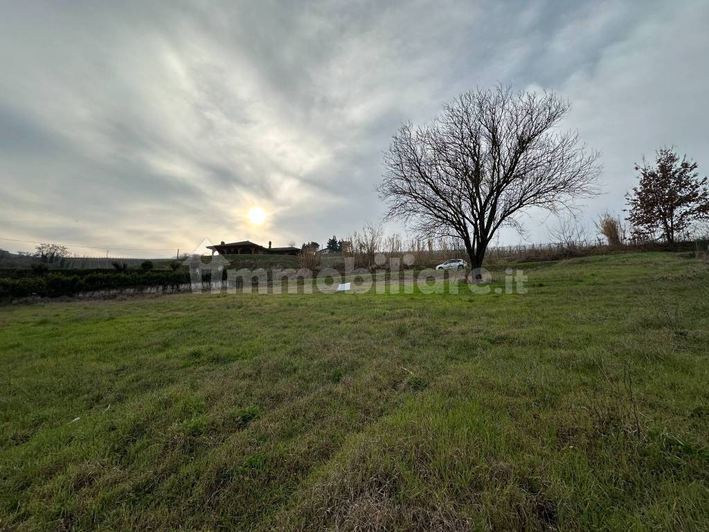 Terreno
