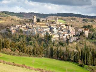 Vista