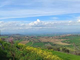 Vista