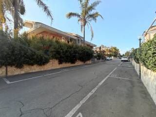 Zona