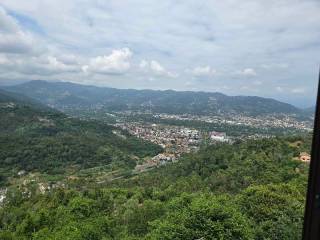 Vista