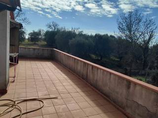 Terrazzo