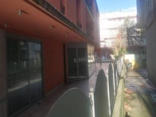 Zona