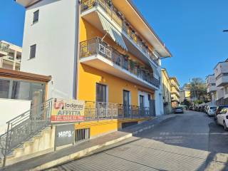 Zona