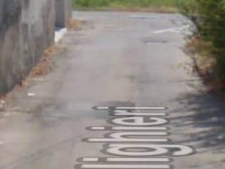 Zona