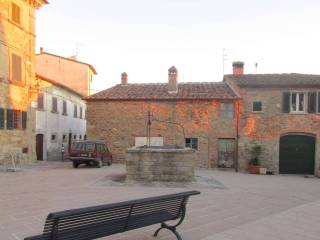 Zona