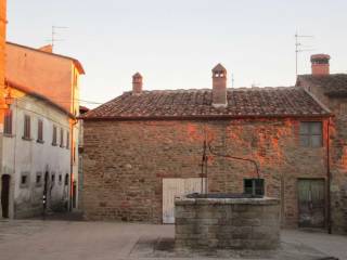 Zona