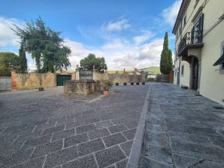 Zona
