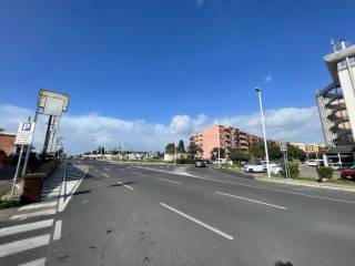 Zona