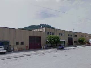Zona