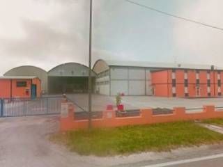 Zona