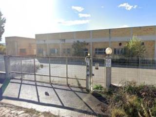 Zona