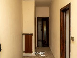 Ingresso
