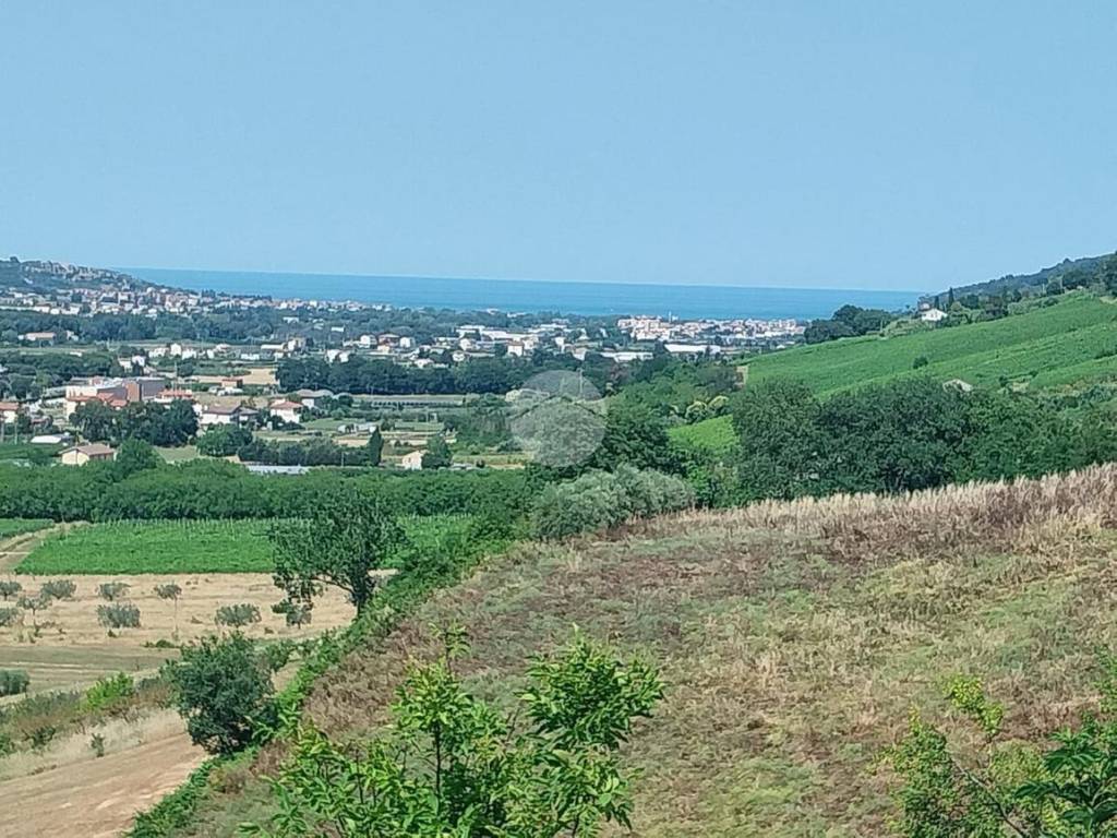 Vista