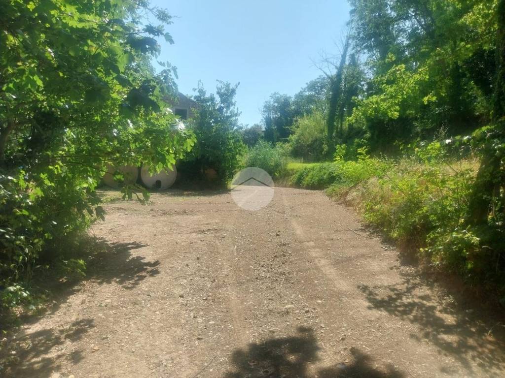 Terreno