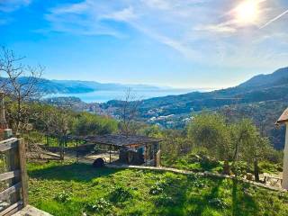 Vista