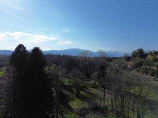 Vista