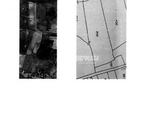 Planimetria