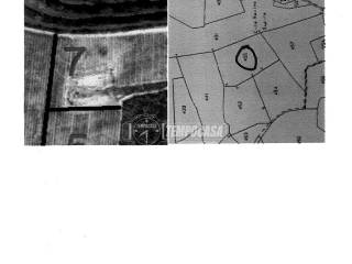 Planimetria