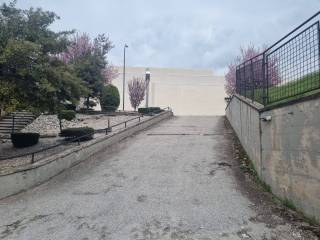 Zona
